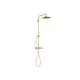 DORNBRACHT-Shower-Pipe-mit-Brause-Thermostat-SERIENSPEZIFISCH-34460979-Messing-gebuerstet-23kt-Gold-34460979-28 gallery number 1